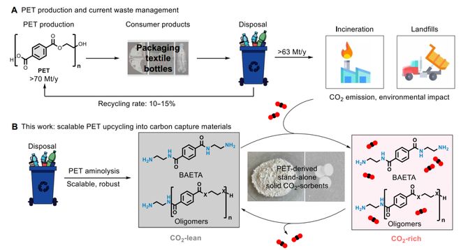 PET瓶转变为“吃”CO₂的材料废塑料化学回收和高值化再利用最新成果丨Scien